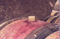 Wine in barrel, Remoissenet's cellar, Beaune IMGP2184